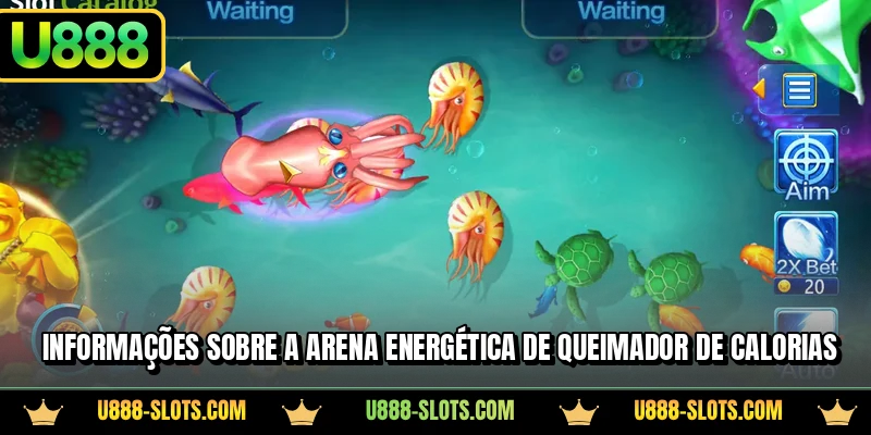 Informações sobre a arena energética de Queimador de Calorias